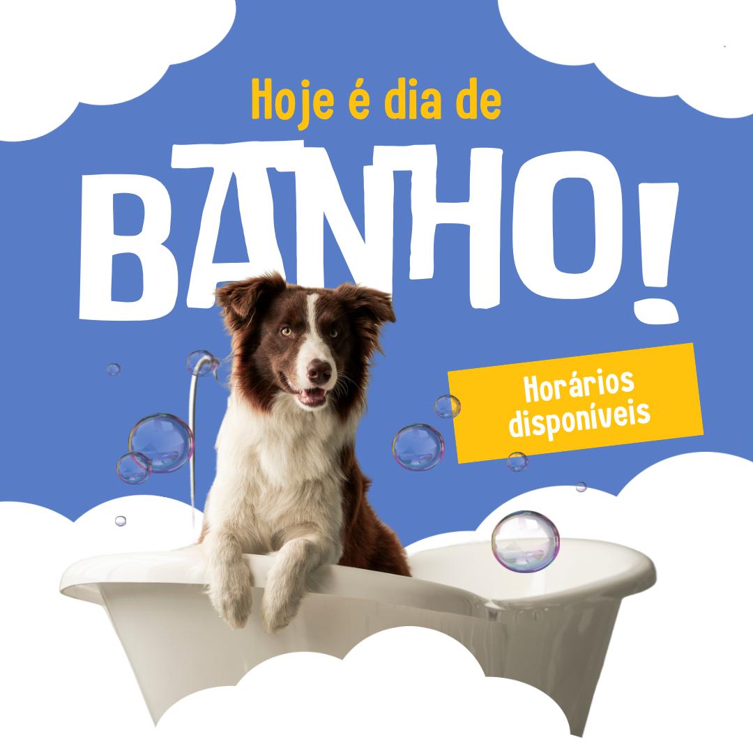Hoje é dia de banho e tosa