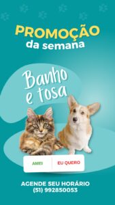 Imagem do WhatsApp de 2025-05-15 à(s) 21.25.04_1785209a