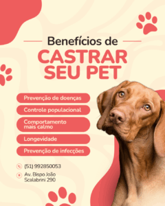 Instagram Post Pet Shop Minimalista Rosa e Bege