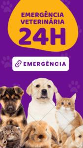 Story interativo emergência veterinária roxo amarelo