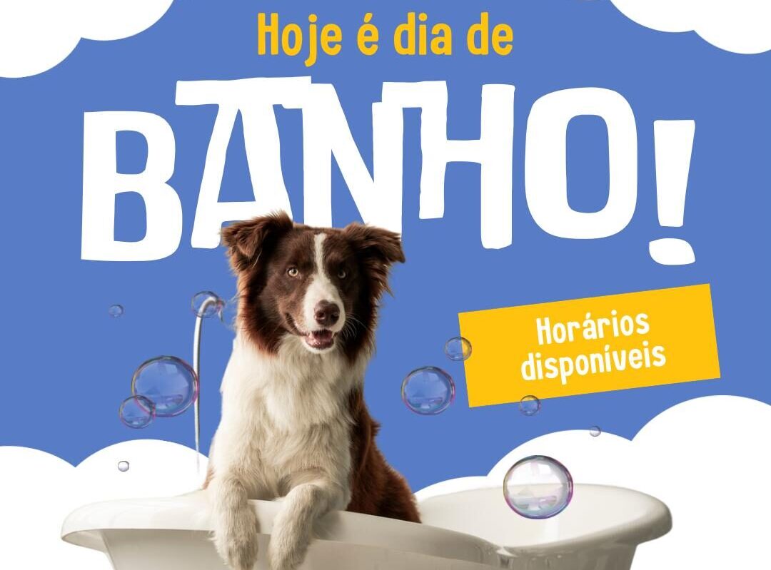 Procane Clinica Veterinária e banho e tosa