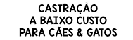 cropped-images0344.png