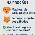 CASTRAÇÃO A BAIXO CUSTO