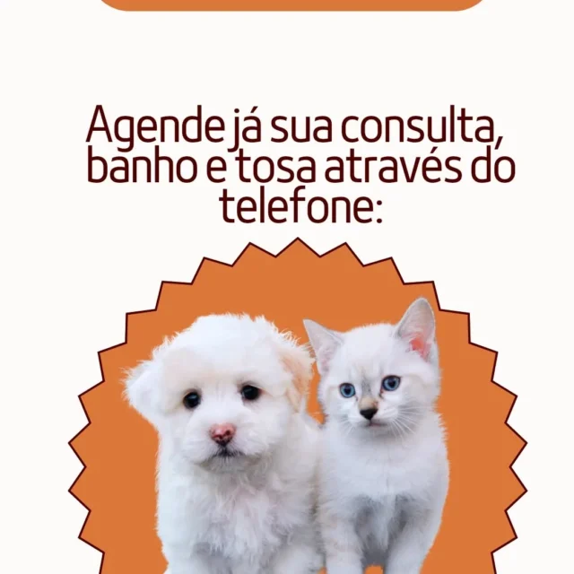 Agenda da semana aberta para o banho e tosa. Consulta e internação 24hrs 051992850053