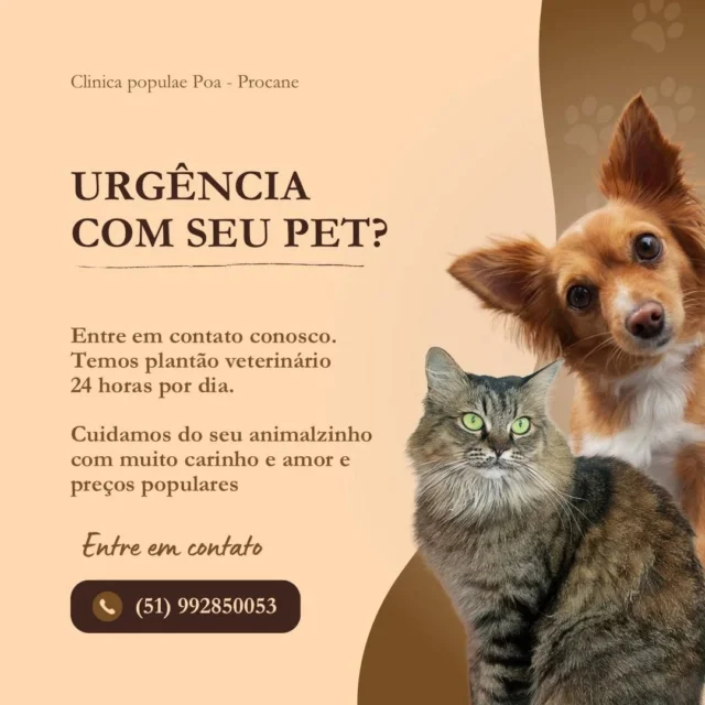 Post do Instagram 18039981995285846