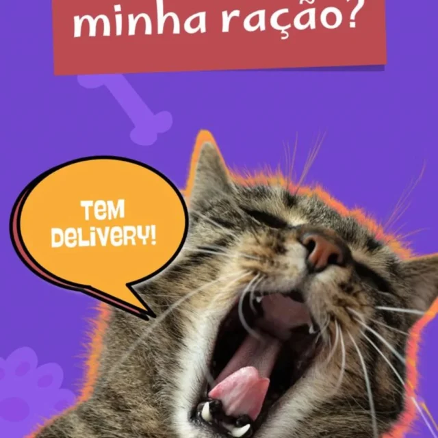 Post do Instagram 18066198478994880
