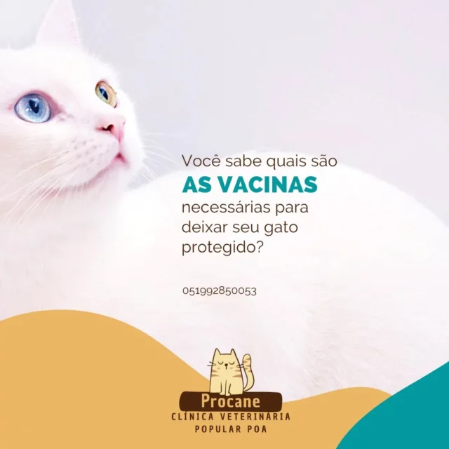 Post do Instagram 18502346347015327